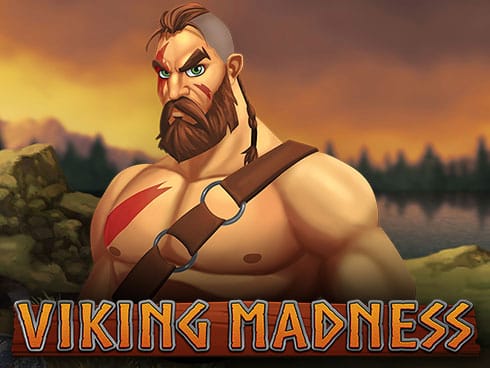 وائیکنگ میڈنس game thumbnail